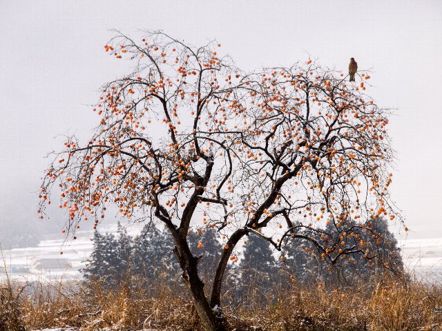 c0008502_1612838.jpg