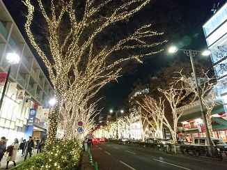 d0091909_1042613.jpg