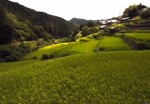 c0168815_7345997.jpg