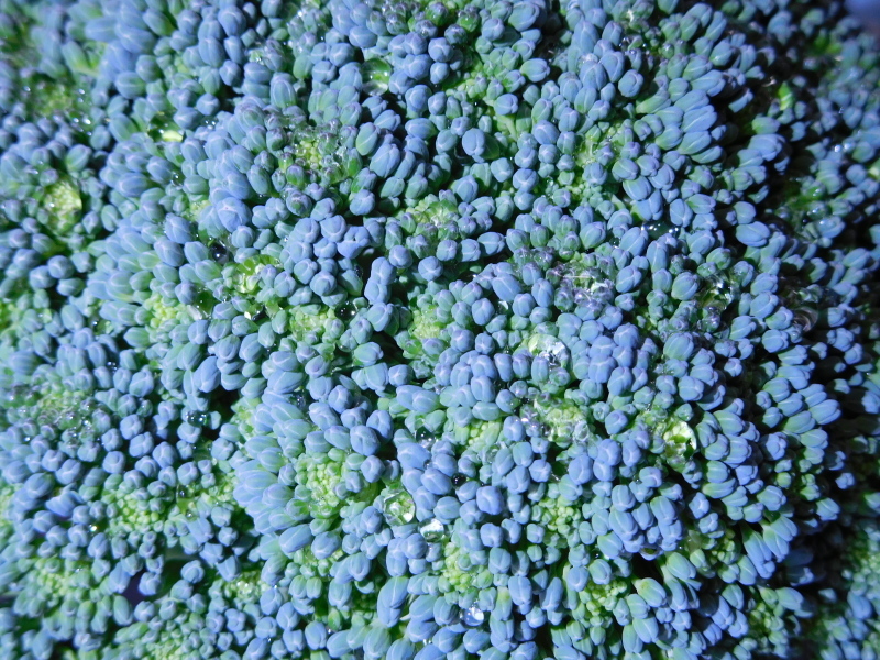 a0125419_18241858.jpg