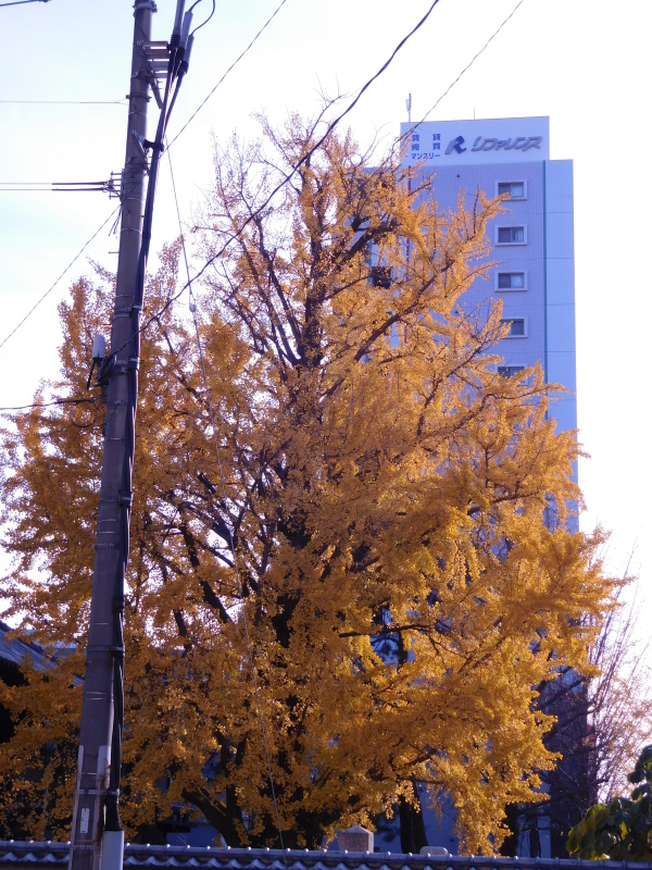 a0125419_18275287.jpg