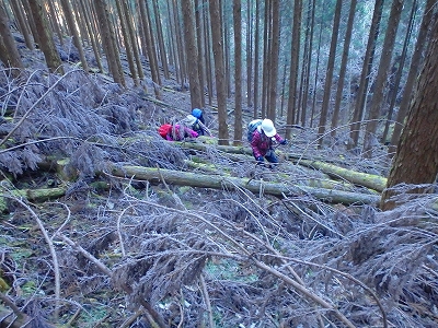 f0193521_125464.jpg