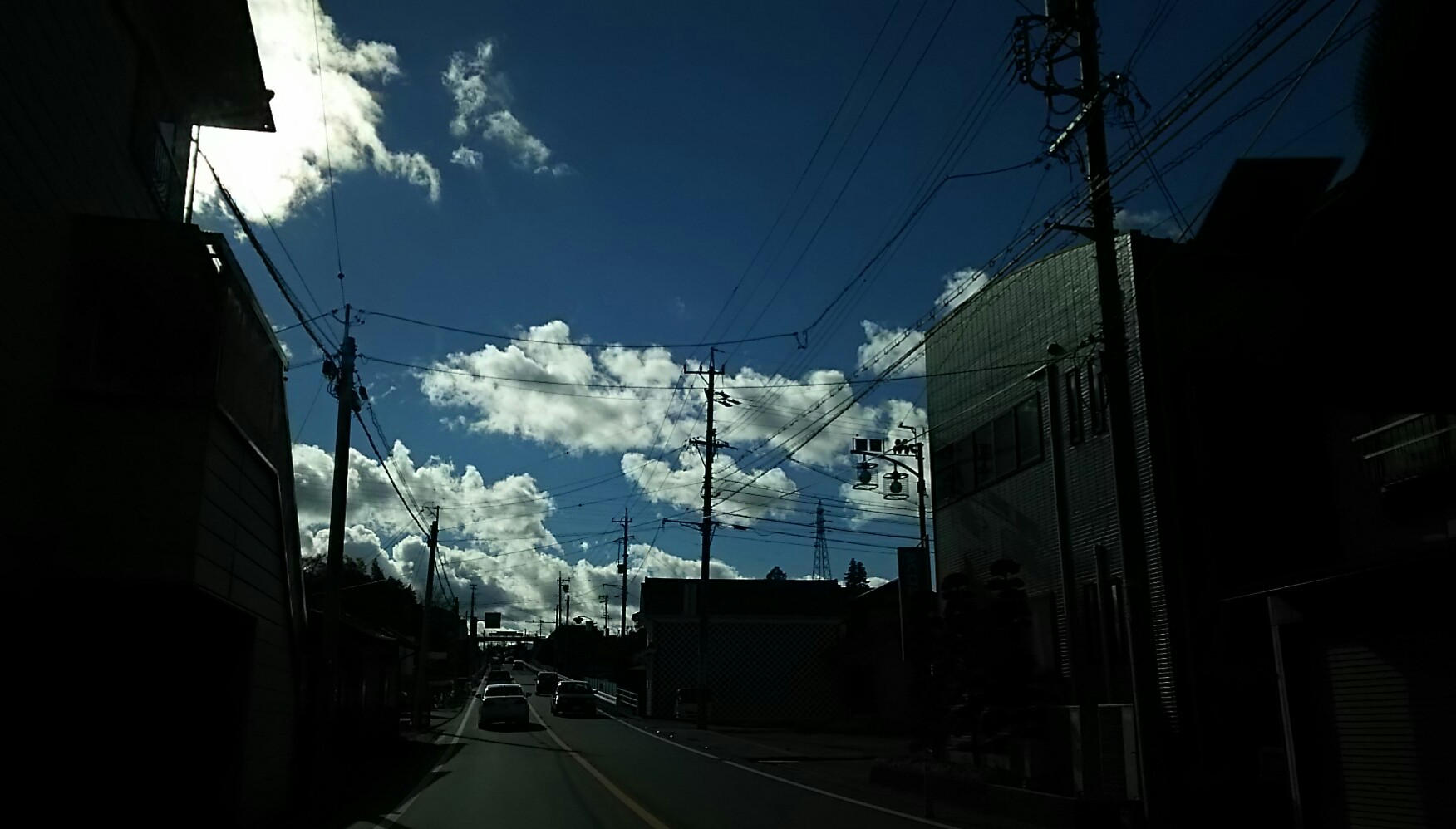 b0037323_1054013.jpg
