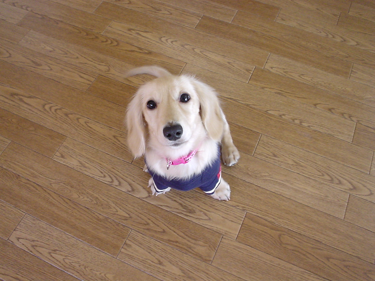 c0117831_16204948.jpg