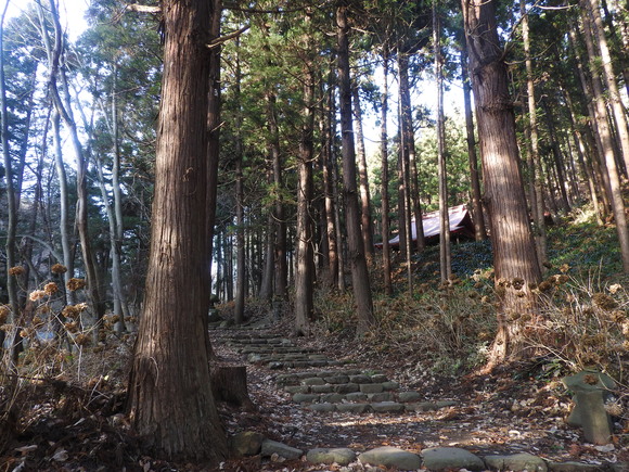f0118332_155217.jpg