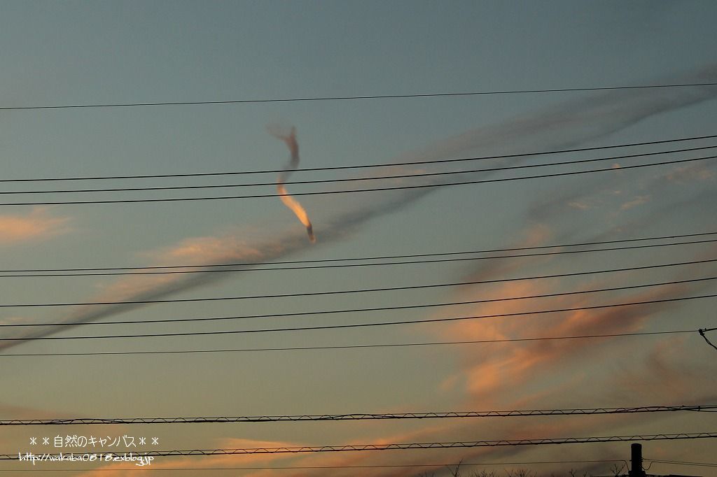 e0052135_17530504.jpg