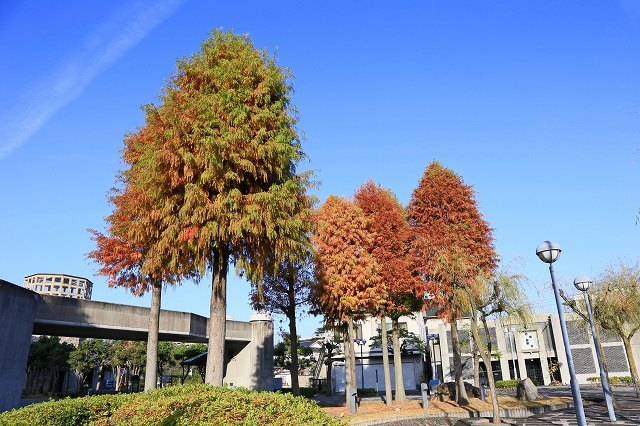 a0242438_20025450.jpg