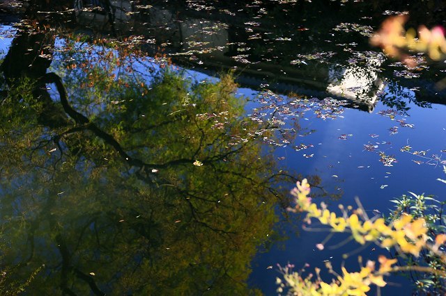 a0242438_20044890.jpg