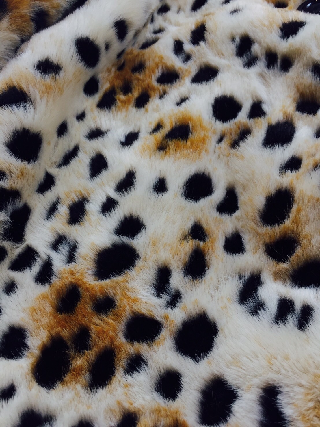 c0177238_15413471.jpg
