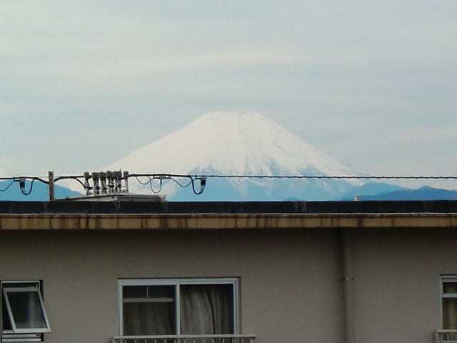 b0075239_16581881.jpg