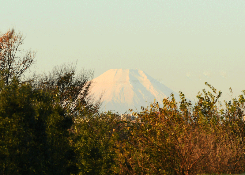 d0290240_14122493.gif