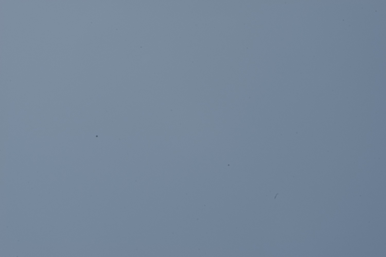 d0349141_23144288.jpg