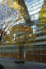 e0080345_07262754.jpg