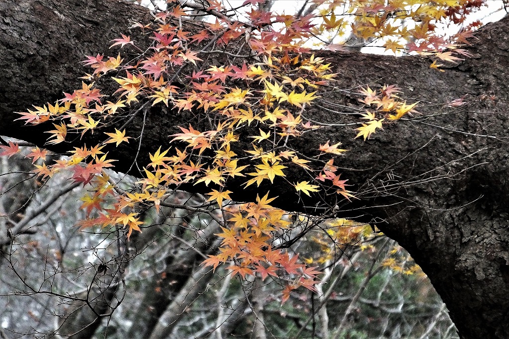 b0236251_14443051.jpg
