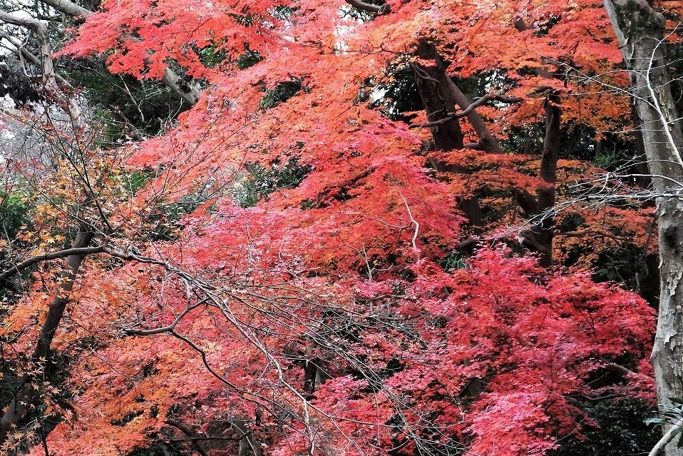 b0236251_14453741.jpg