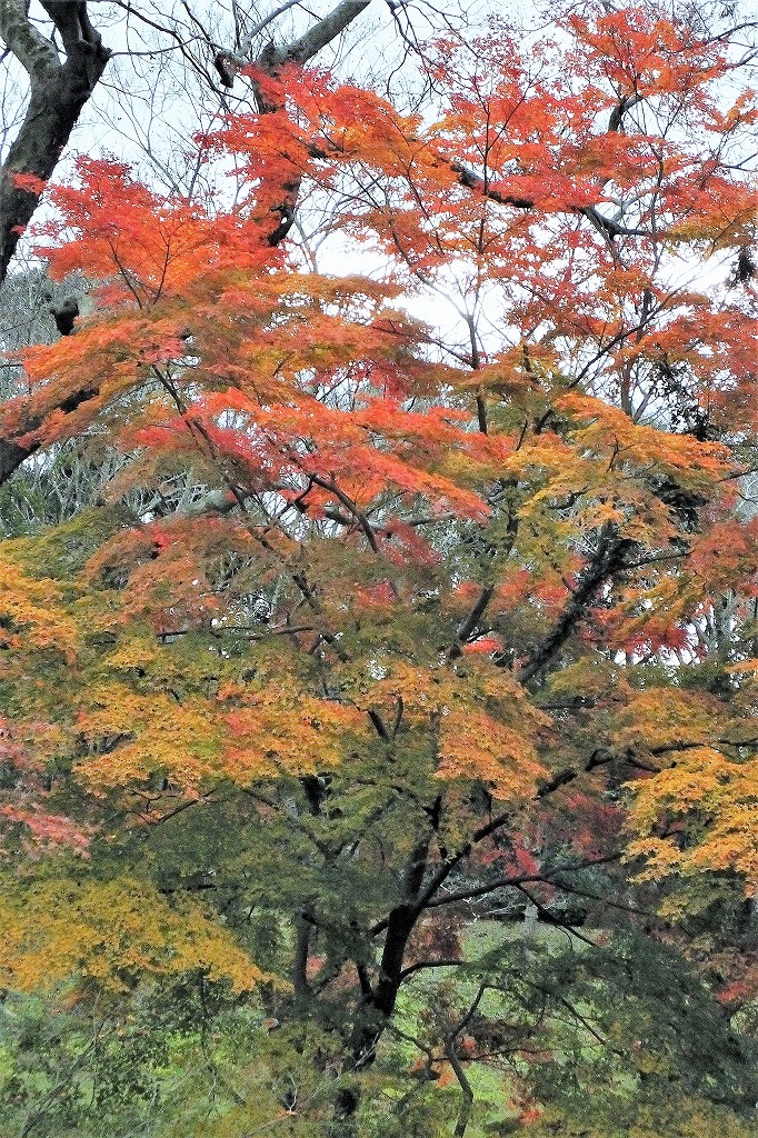 b0236251_14454924.jpg