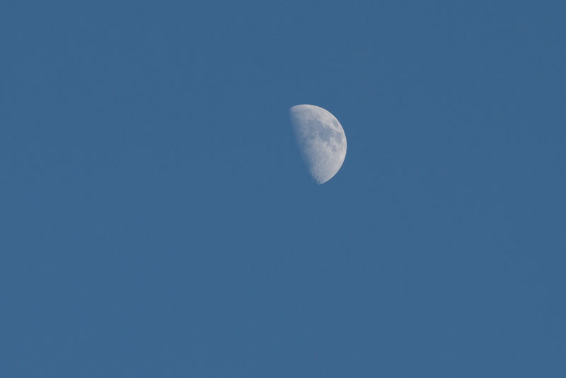 d0342652_17595059.jpg