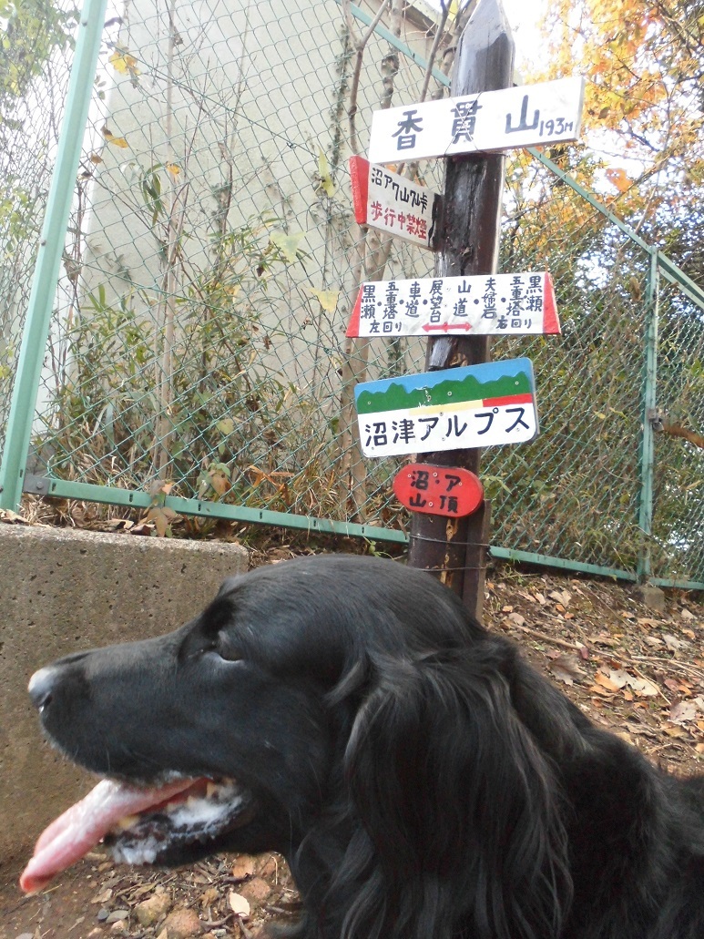 c0347153_15253885.jpg