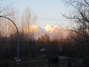 b0090654_2313266.jpg