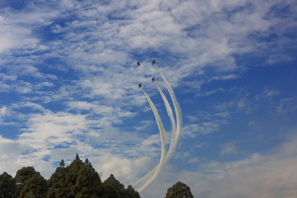 e0216857_1223924.jpg