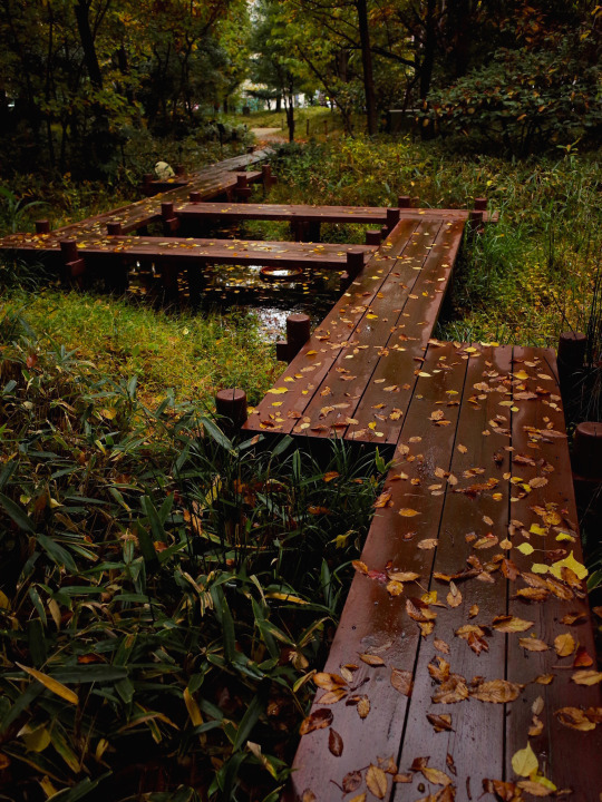 f0134963_15570837.jpg