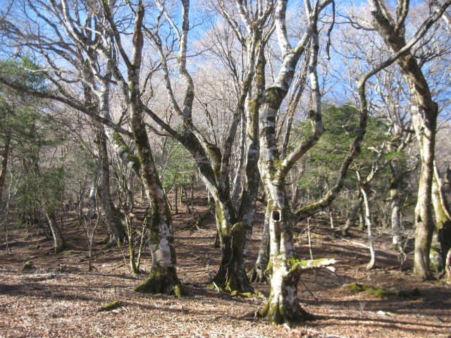 c0219866_741039.jpg