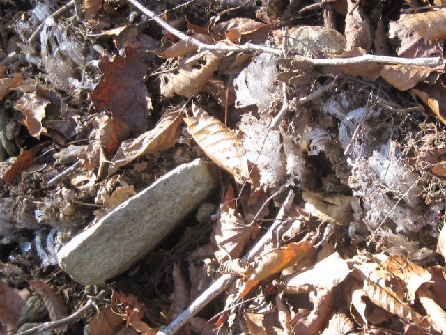 c0219866_7421919.jpg