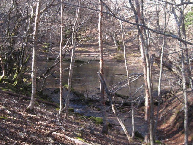 c0219866_743449.jpg