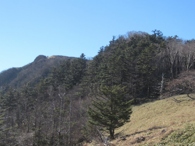c0219866_7452676.jpg
