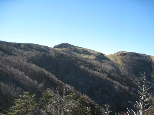 c0219866_746674.jpg