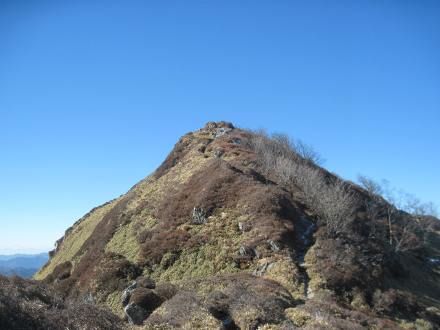 c0219866_747598.jpg
