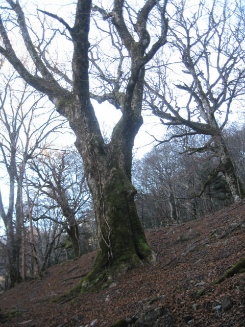 c0219866_7532975.jpg