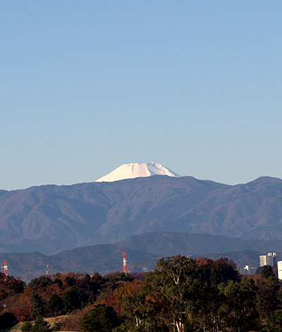a0119470_22202245.jpg