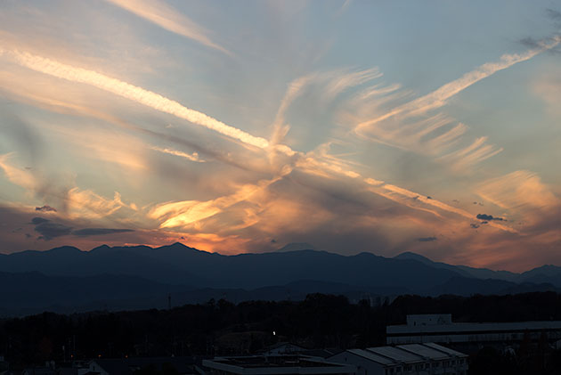 a0119470_22205539.jpg
