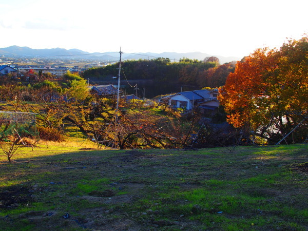 c0122670_23593309.jpg