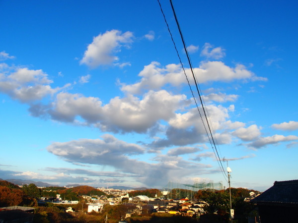 c0122670_23593525.jpg