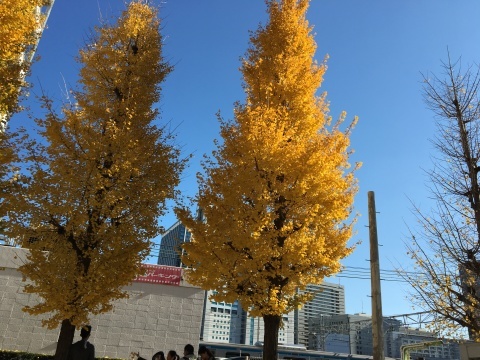 e0172872_19053395.jpg