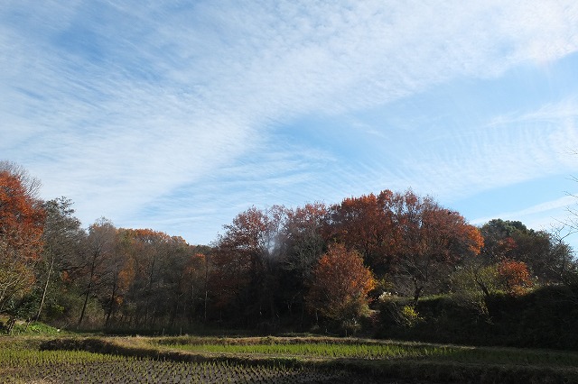 e0339873_17185766.jpg