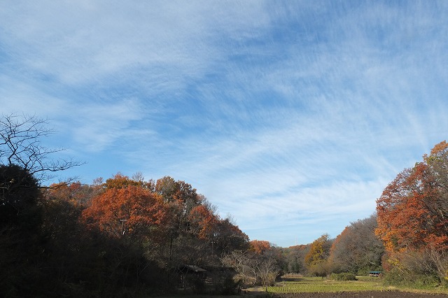 e0339873_17202979.jpg