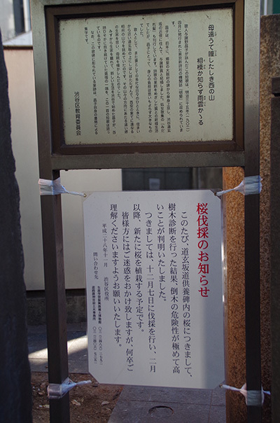 b0056983_16320045.jpg