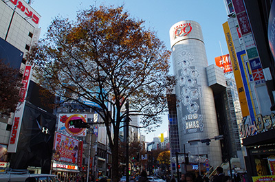 b0056983_16320134.jpg