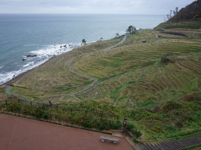 c0188784_23335070.jpg