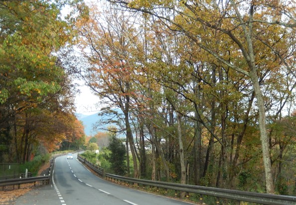 c0144185_20163339.jpg
