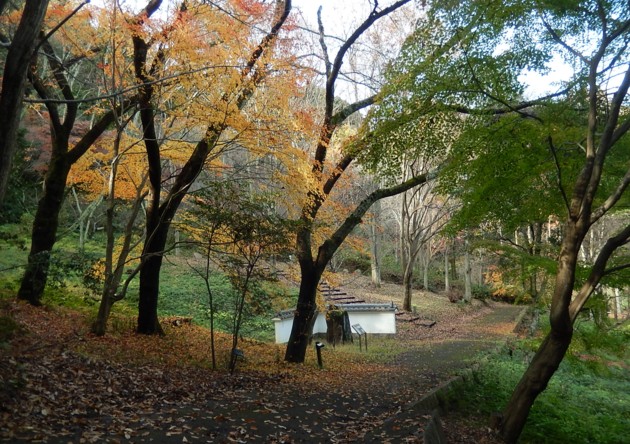 c0144185_20204241.jpg