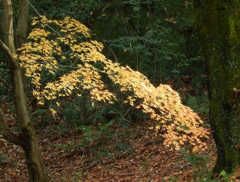 c0144185_21037100.jpg