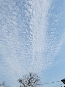 e0130185_1151185.jpg