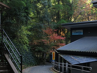 e0130185_1921527.jpg