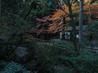 e0130185_19264660.jpg