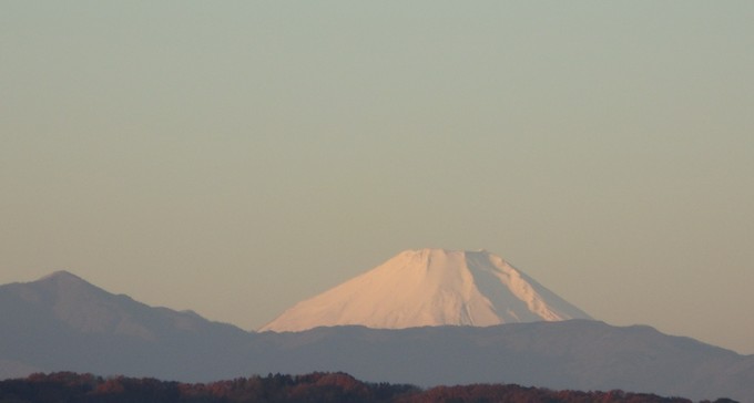 b0197486_815833.jpg
