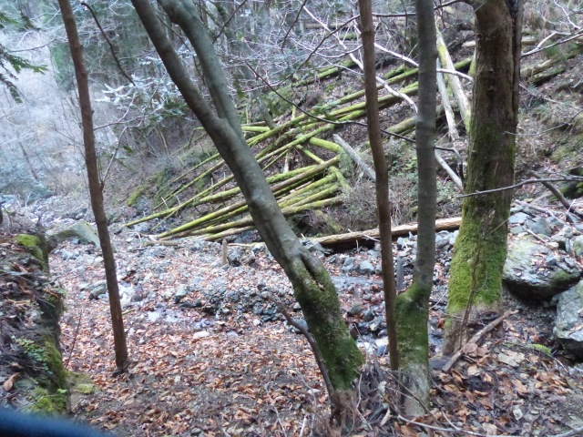 f0357487_20551467.jpg